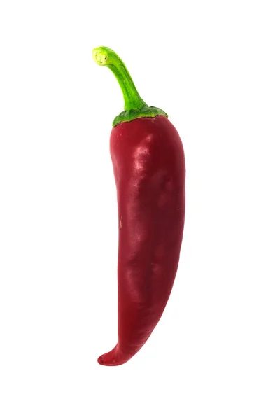 Red chilly — Stock Photo, Image
