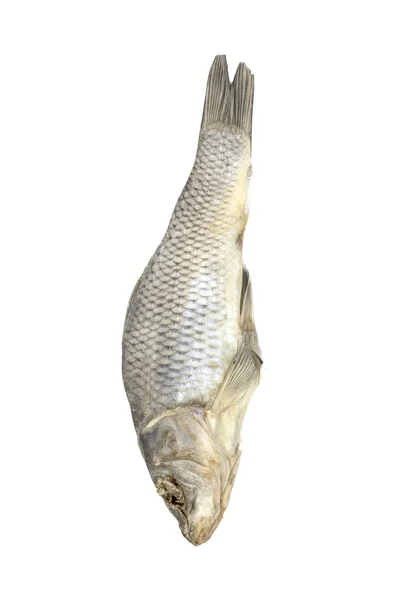 乾燥された魚、白の背景に割り当てられます — ストック写真