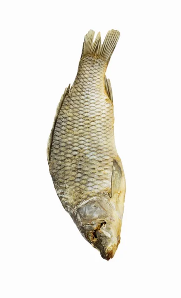Ikan kering diisolasi pada latar belakang putih — Stok Foto