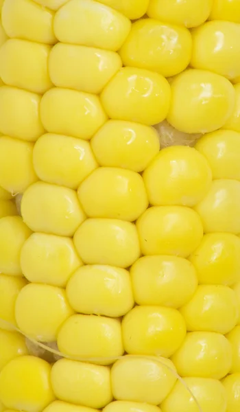 玉米。宏 — 图库照片