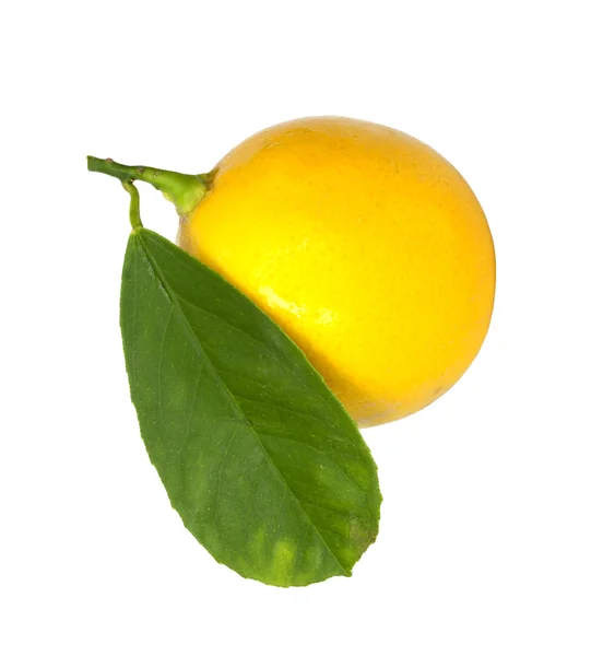 Limón. —  Fotos de Stock