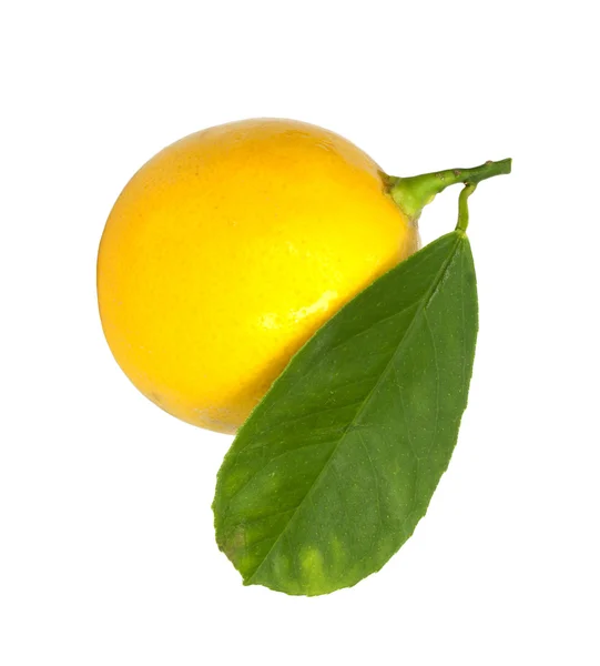 Citron. — Stock fotografie