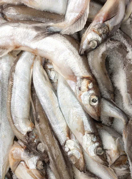 Piyasada buz balık — Stok fotoğraf