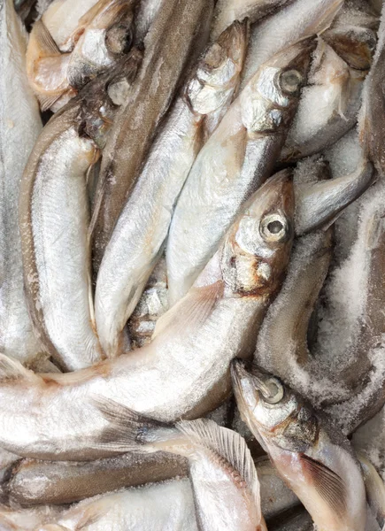 Рыба во льду на рынке — стоковое фото