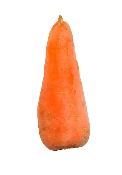 Спелые морковки изолированы на белом фоне — стоковое фото