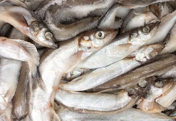 Ryby w lodzie na rynku — Zdjęcie stockowe