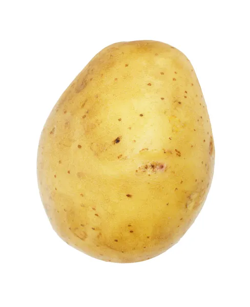Una patata isolata, oggetto su sfondo bianco — Foto Stock