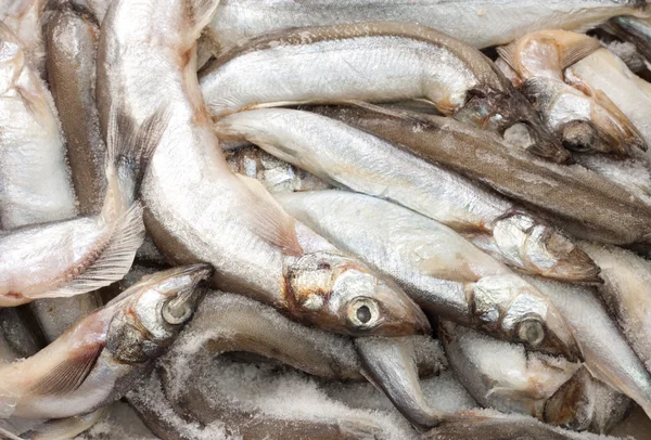 Vissen in ijs op de markt — Stockfoto