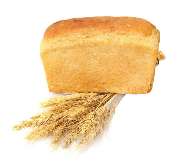 Bröd och vete på en vit bakgrund — Stockfoto