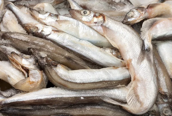 Fiska i isen på marknaden — Stockfoto