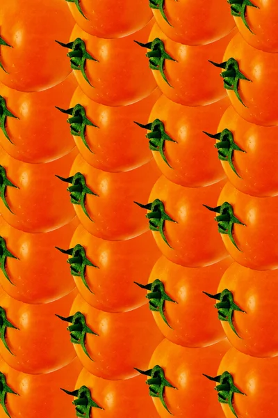 Rode tomaten achtergrond — Stockfoto