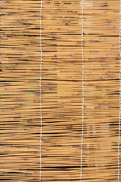 Тростниковая текстура — стоковое фото