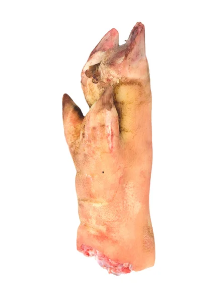 Noga wieprzowa na białym tle — Zdjęcie stockowe
