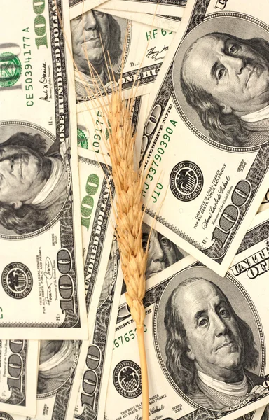 Nota de trigo e dólar em grande plano — Fotografia de Stock