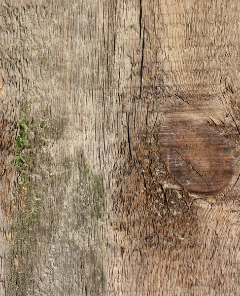 Textura de madera - se puede utilizar como fondo — Foto de Stock