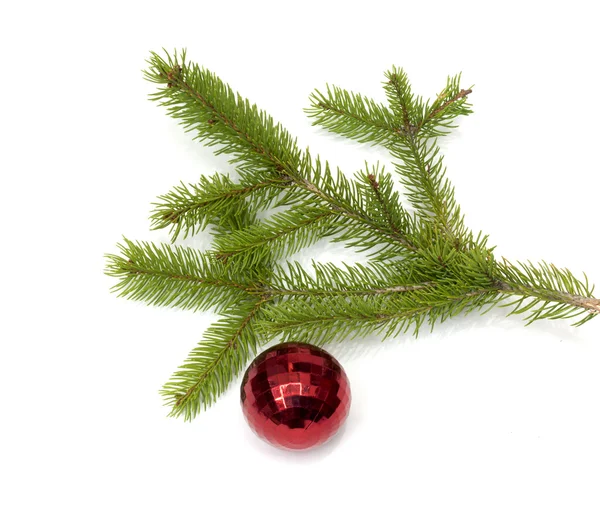 Рождественский шар висит на ветке елки, изолированный — стоковое фото