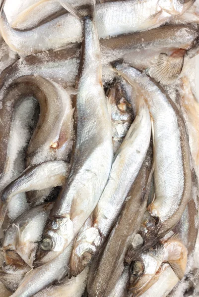 Ryby w lodzie na rynku — Zdjęcie stockowe