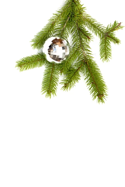Bola de árvore de Natal pendurada em um galho de árvore de Natal, isolado — Fotografia de Stock