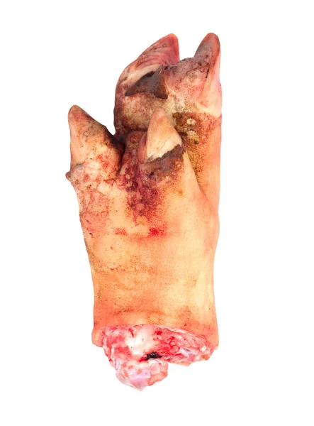 Свиная нога на белом фоне — стоковое фото