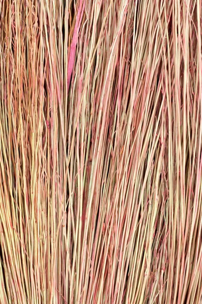 Grunge Textur aus trockenem Gras — Stockfoto