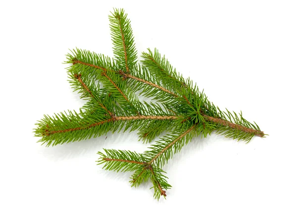 Χριστουγεννιάτικο πράσινο πλαίσιο απομονωμένο σε λευκό φόντο — Φωτογραφία Αρχείου