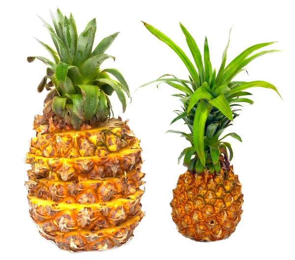 Ripe pineapple isolated on white — Stock Photo, Image