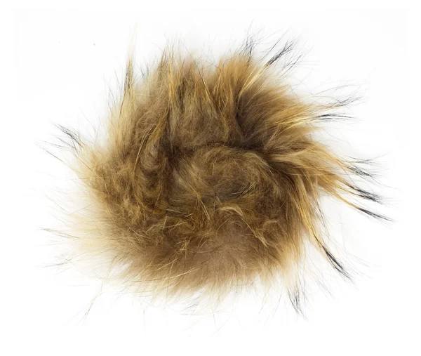 Fur on white background — Stock Photo, Image