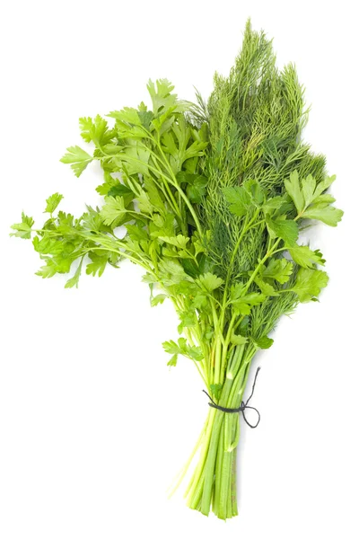 Dill and parsley isolated on a white background Royalty Free Stock Images