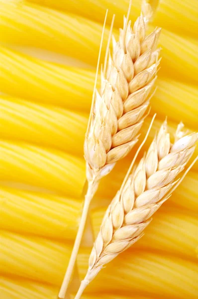 Паста с пшеничными ушами — стоковое фото