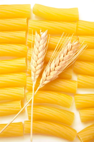 Pasta with wheat ears — Stock Photo, Image