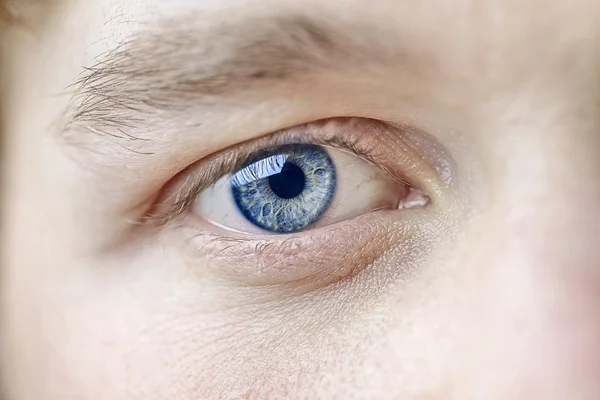 青い目 — ストック写真