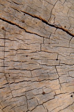 Background Texture Of Weathered Wood clipart