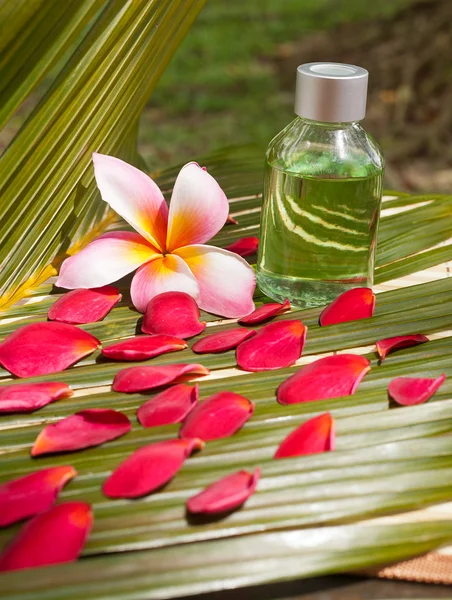 Wellness spa setting on coconut leaf — Stock Photo, Image
