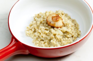 Kızarmış saint jacques yumuşakca pearl arpa risotto ile