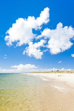 Beach on Hel Peninsula, Pomerania, Poland clipart