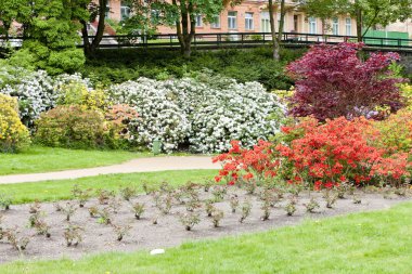 Park karlovy Vary (carlsbad), Çek Cumhuriyeti