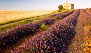 Chapel with lavender and grain fields, Plateau de Valensole, Pro clipart