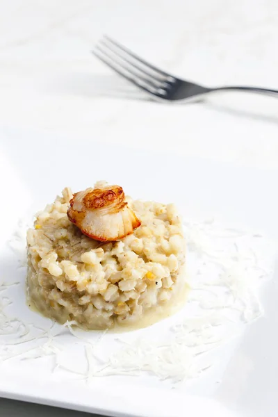 Fried Saint Jacques mollusc with pearl barley risotto — Stock Photo, Image