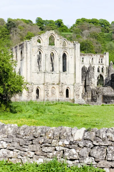 Rovine dell'abbazia di Rievaulx, North Yorkshire, Inghilterra — Foto Stock