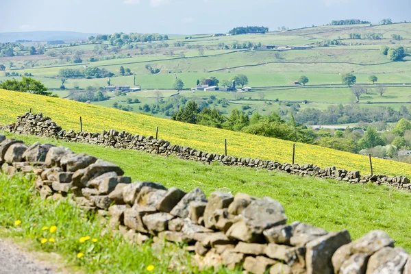 The Pennines, Northumberland, England — Stock Photo, Image