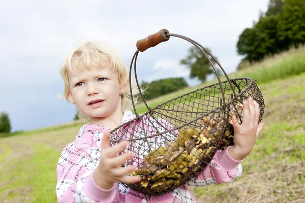 Portrait of little girl with a basket of mushrooms — Stock Photo, Image