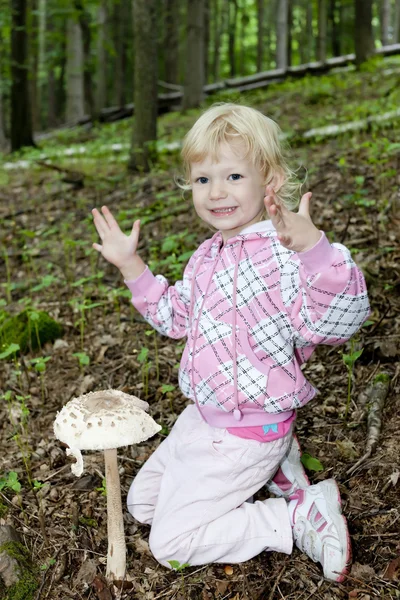 Сбор грибов маленькая девочка в лесу — стоковое фото