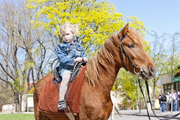 Liten flicka på hästryggen — Stockfoto