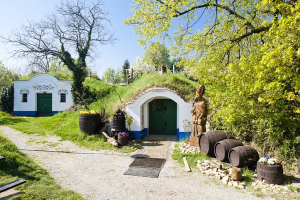葡萄酒酒窖，彼得罗夫-plze、 捷克共和国 — 图库照片
