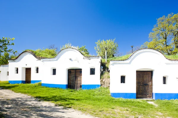 stock image Wine cellars, Petrov - Plze, Czech Republic