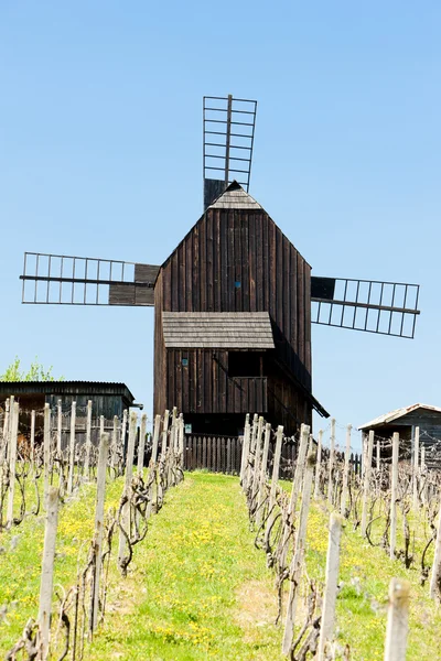 Mulino a vento in legno con vigneto, Klobouky u Brna, Repubblica Ceca — Foto Stock