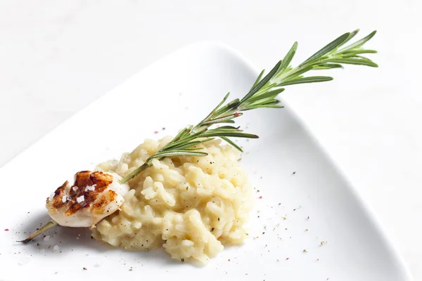 Grilled Saint Jacques mollusc on rosemary needle with risotto — Stock Photo, Image
