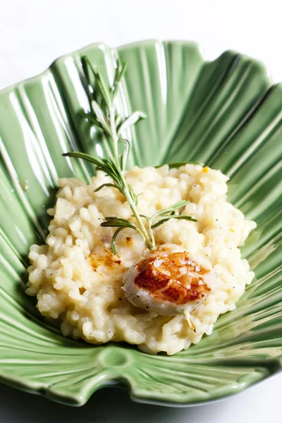 Grilled Saint Jacques mollusc on rosemary needle with risotto — Stock Photo, Image