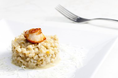 Kızarmış saint jacques yumuşakca pearl arpa risotto ile