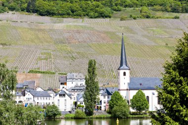 piesport, rhineland-palatinate, Almanya